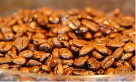 coffee beans light roasted